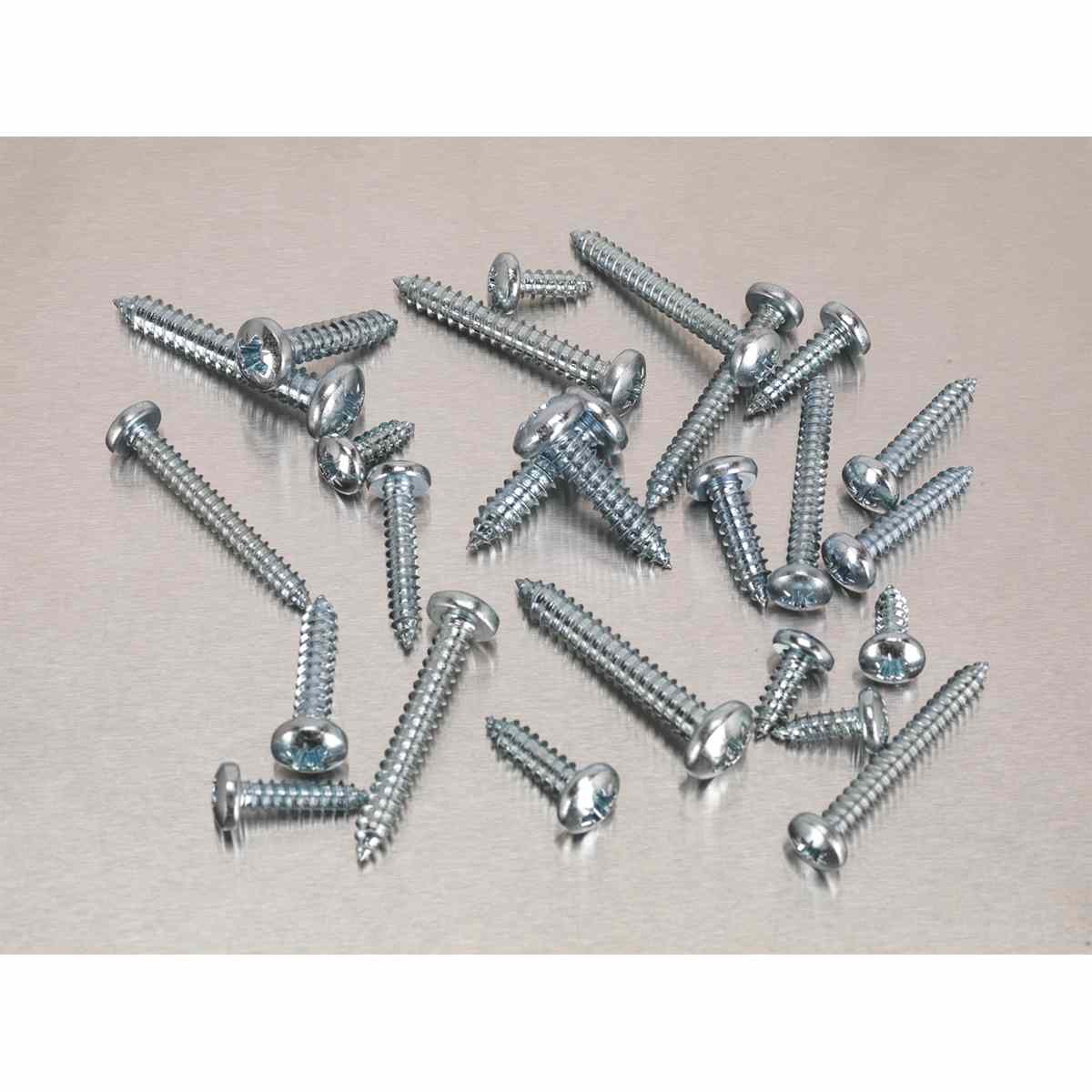 Self Tapping Screw Assortment DIN 798CZ 305pc Pan Head Pozi Zinc - Image 3