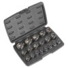 Socket Set 19pc 1/2inSq Drive Total Drive?