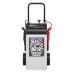 Electronic Charger Starter 45/300A 12/24V