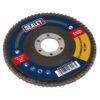 Flap Disc Aluminium Oxide ?115mm ?22mm Bore 80Grit - Image 3