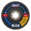 Flap Disc Aluminium Oxide ?125mm ?22mm Bore 120Grit