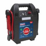 RoadStart? Emergency Jump Starter 12V 2L 4 Cylinder
