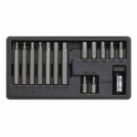 Hex Bit & Holder Set 15pc - Metric