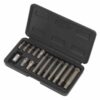 Ribe Bit & Holder Set 15pc - 3/8inSq Drive