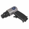 Air Needle Scaler - Pistol Type