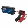 Battery Charger & Maintainer 12V 4A  Automatic - Image 2