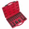 Impact Hex, TRX-Star* & TRX-Star* Female Socket Bit Set 16pc 3/4in & 1inSq Drive